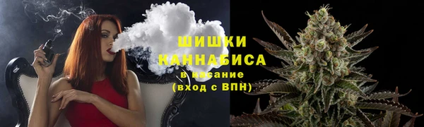 ПСИЛОЦИБИНОВЫЕ ГРИБЫ Протвино