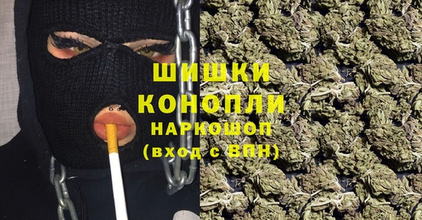 ПСИЛОЦИБИНОВЫЕ ГРИБЫ Протвино