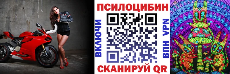 Купить  Вязьма  Галлюциногенные грибы Psilocybe 