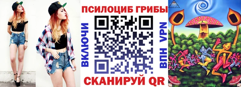 Галлюциногенные грибы Psilocybine cubensis Вязьма
