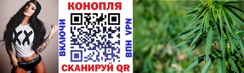 Купить закладки  Вязьма  Канабис конопля 